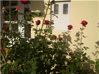e49e5127-Picture 6643.jpg